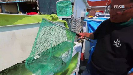 한국기행 - Korea travel_갯마을 차차차 2부- 아버지의 바다_#001