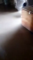 शंकरपुरा ढाणी: मकानों में पानी भरा, सामान लेकर हमीरपुर पहुंचे ग्रामीण