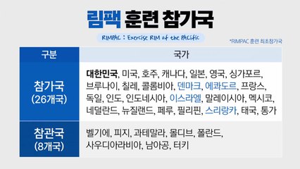 세계 최대 해상훈련, 림팩을 직관하다 / YTN