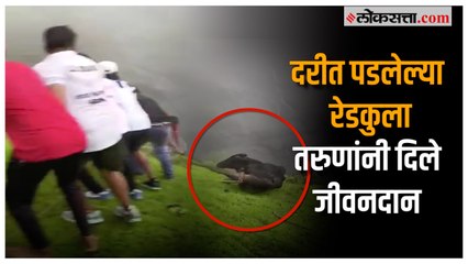 तरुणांच्या प्रसंगावधानामळे वाचला रेडकुचा जीव  |Panvel |Mangalgadh