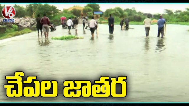 Public Catching Fishes In Flood Water _ Sangareddy | V6 News