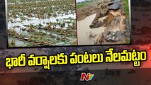 Crops Damaged in Nirmal District, Farmers Face to face _|Ntv