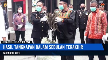 101 Kg Ganja Kering Dimusnahkan Polres Aceh Tengah