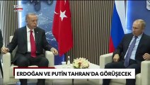 Kremlin Duyurdu! Tahran'da Erdoğan-Putin-Reisi Zirvesi - TGRT Haber