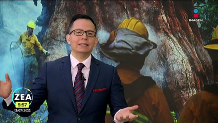 Bomberos batallan contra incendio que amenaza al Parque Nacional de Yosemite