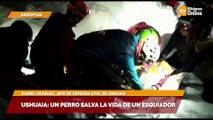 Ushuaia: un perro salva la vida de un esquiador