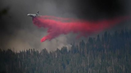 Fiamme al Yosemite Park, a rischio la foresta di sequoie giganti