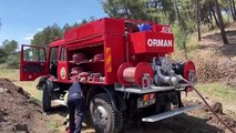 Son dakika haberleri: Edirne'de çıkan orman yangını söndürüldü