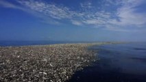 All'Elba il festival per la salvaguardia del mare