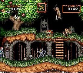 Super Ghouls'n Ghosts online multiplayer - snes