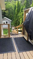 A Dog Who Knows What He Wants