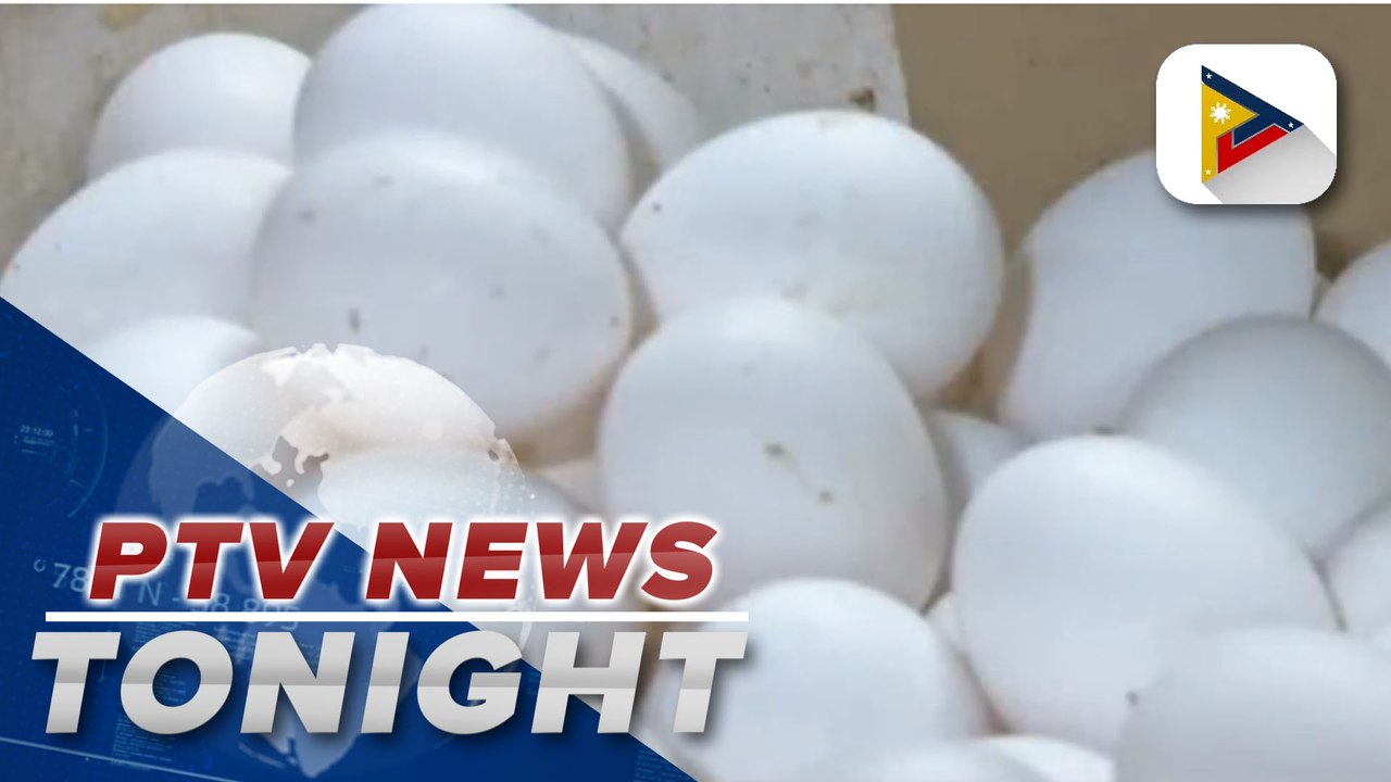 AGAP party-list warns prices of egg could further go up due to low supply