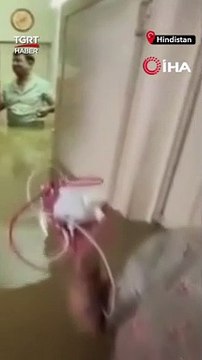 Hindistan'da Sel Evleri Göle Çevirdi - TGRT Haber