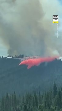 Yosemite National Park Giant Sequoia Trees Threatened by Wildfire