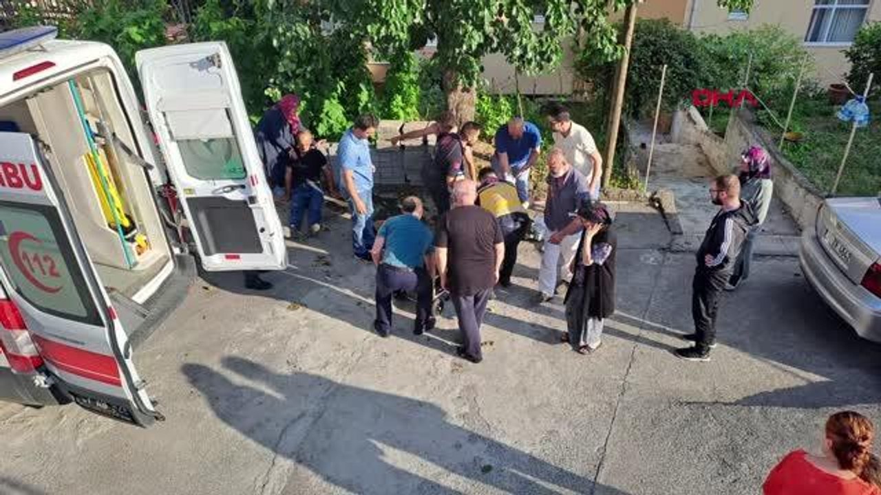 ARMUT TOPLARKEN AĞAÇTAN DÜŞÜP YARALANDI