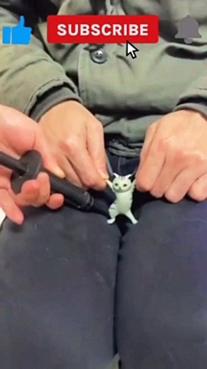 funny video clips  funny video clips indian  funny video clips 2022 funny cats funny cat video funny video cats,funny cat videos funny dog video funny video compilation funny cats videos funny videos funny animal videos funniest animals video funny animal