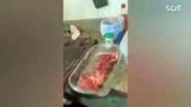Churrasco termina em ‘vômito coletivo’ após larvas serem achadas em peça de carne; Veja o video