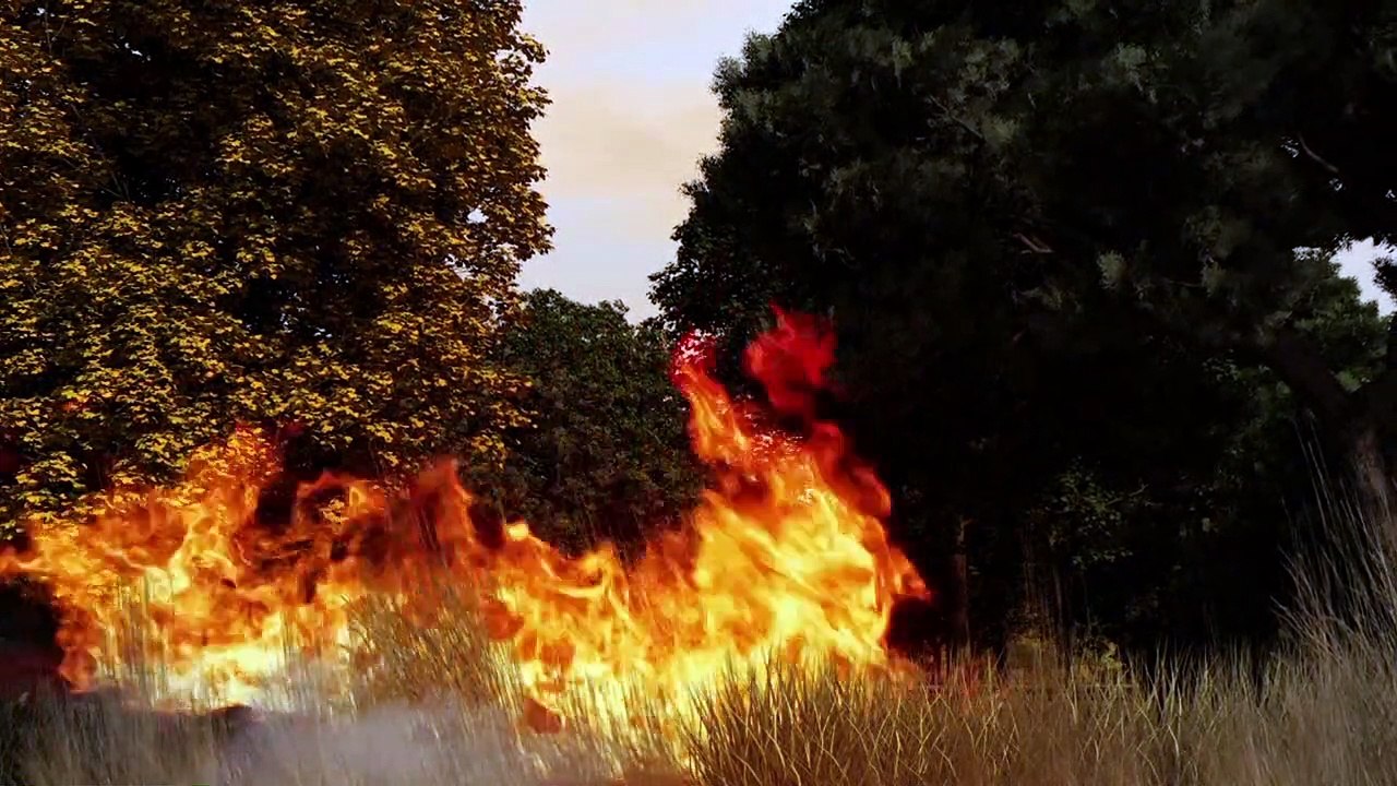 Los incendios forestales