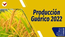 Punto de Encuentro | Producción agrícola venezolana en ascenso