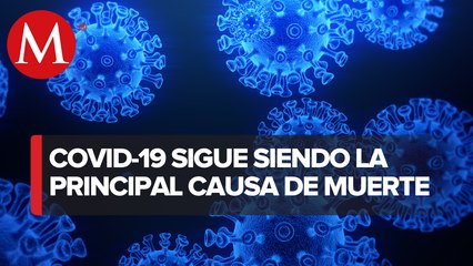 Exceso de mortalidad en Tamaulipas sigue al alza; 17 mil 591 decesos más de los esperados