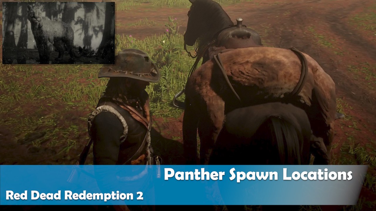 Panther Spawn Locations in Red Dead Redemption 2 - video Dailymotion