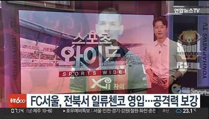 FC서울, 전북서 일류첸코 영입…공격력 보강