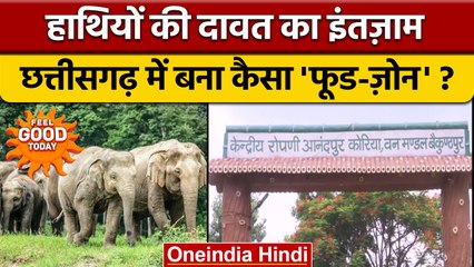 हाथियों की दावत का हुआ इंतज़ाम, देखें Chhattisgarh में बना कैसा 'Food-Zone'? वनइंडिया हिंदी|*offbeat
