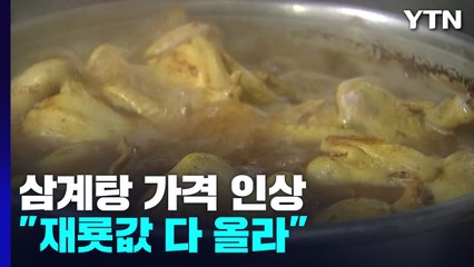 초복 코앞인데 삼계탕 가격도 비상..."모든 재룟값 다 올라" / YTN