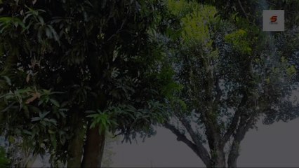 Tujhe Bhoolna Toh Chaaha | Cover Video | Heart Touching Love Story...