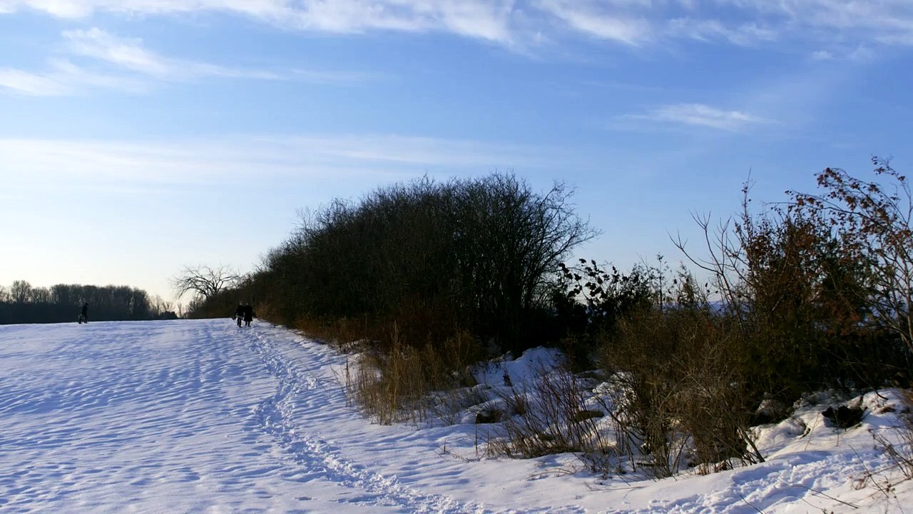 Anne with an E Staffel 1 Folge 6 HD Deutsch