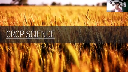 Crop Refresher: Lecture 9 - Translocation