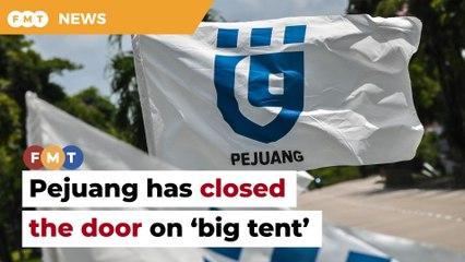 Pejuang won’t collaborate with PH, PN in GE-15 , says Dr M