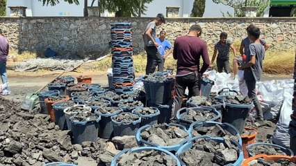 Download Video: Kömür satışı yapan işletmeler: Vatandaş fiyatı duyunca ısınıyor