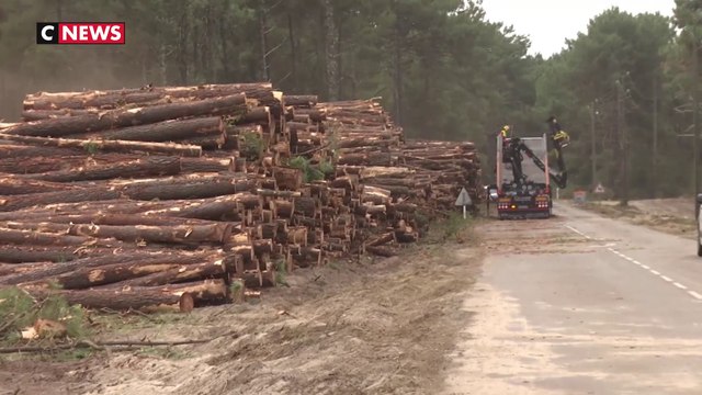 Gironde : Un système de pare-feu pour protéger les habitations