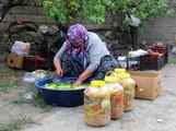 Erzincan'da kadınların turşu mesaisi başladı