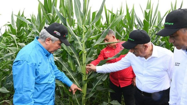 Venezuela’da toprak kiralayıp buğday ekeceğimizi öğrenen vatandaş: Dünyanın bilmem neresinde…