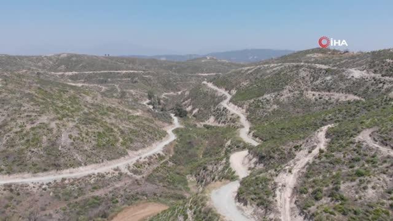 Geçen yıl yanan ormanlık alan küllerinden yeniden doğdu