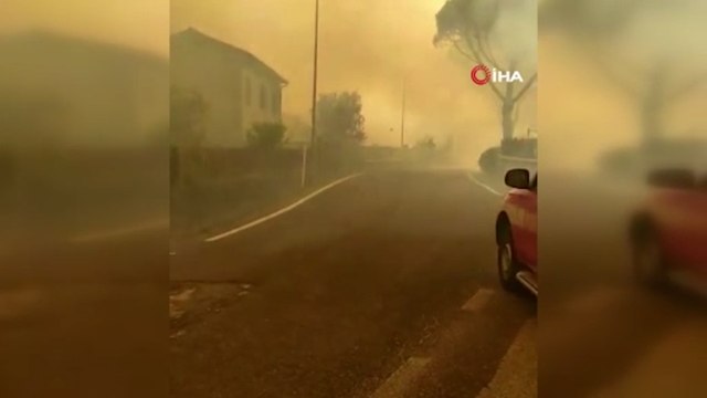 Slovenya'da orman yangını: 4 köy tahliye edildi