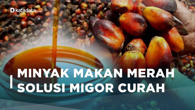 Manfaat Minyak Makan Merah, Alternatif Minyak Goreng Curah | Katadata Indonesia