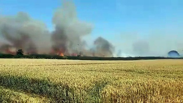 Watch video showing wildfire ripping through crops as Yorkshire firefighters tackle huge blaze - The Yorkshire Post