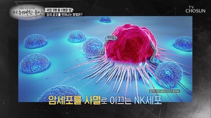 건강한 사람을 구분하는 방법? ‘NK 세포 차이’ TV CHOSUN 20220721 방송