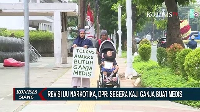 MK Dorong Kajian Lebih Dalam Soal Ganja Medis, BNN: Jalan Kaji Ganja untuk Medis Masih Panjang