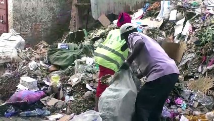 Congo's elderly protect the planet with pellets