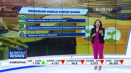 Indonesia Masih Bergantung Pada Pupuk Impor Sebabkan Harga Pangan Sulit Turun