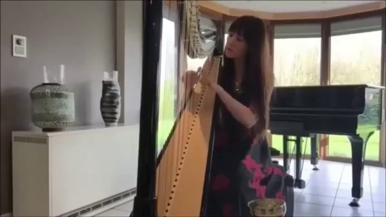 " Burmese Dreams "  -  Une compo de Marianne Bouvette  -   Harpe , guitare et basse