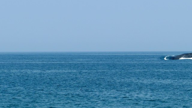 K-329 Belgorod : Russland nimmt größtes U-Boot der Welt in Betrieb