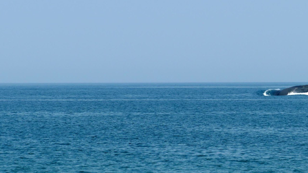 K-329 "Belgorod": Russland nimmt größtes U-Boot der Welt in Betrieb