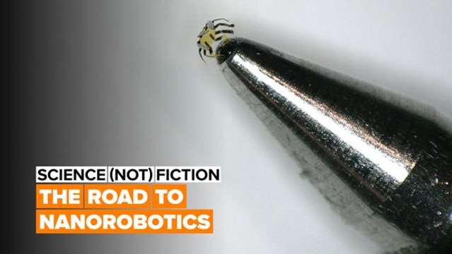 SCIENCE (not) FICTION: The smallest remote-controlled robots