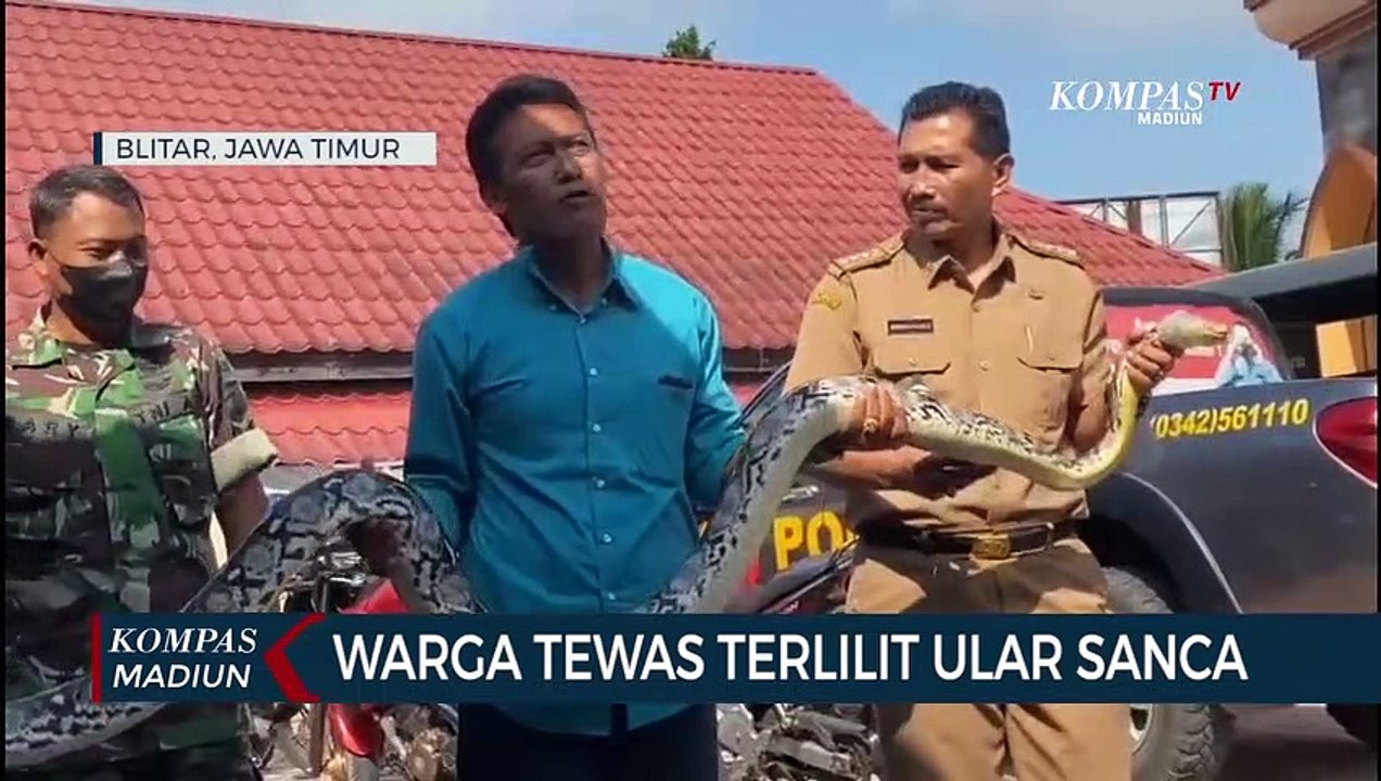 Warga Meninggal Terlilit Ular Sanca