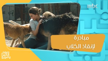 مبادرة لإنقاذ الكلاب بعد تعرضها للتسمم والكسور والإنتهاكات